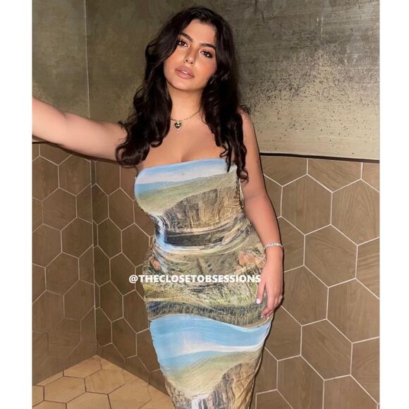 ZARA Blogger Fave!!! Strapless Fitted Print Dress NWT – Summer Glam 🌅 - Picture 14 of 16